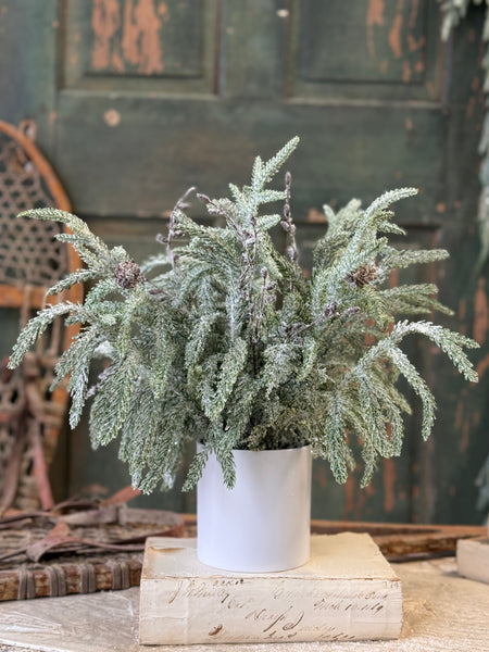 Snowdrift Norfolk Pine Pot | 15" | NOT CURRENTLY IN STOCK-New For Holiday 2026!