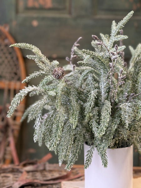 Snowdrift Norfolk Pine Pot | 15" | NOT CURRENTLY IN STOCK-New For Holiday 2026!