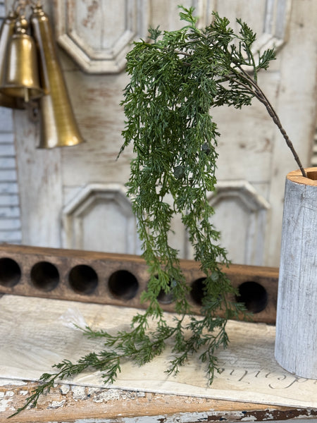 Greenfall Cedar Hanging | 55" | NOT CURRENTLY IN STOCK-New For Holiday 2026!