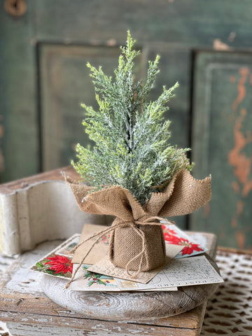 Fine Pine Tree | 12" | SOLD OUT