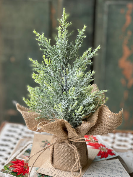 Fine Pine Tree | 12" | SOLD OUT