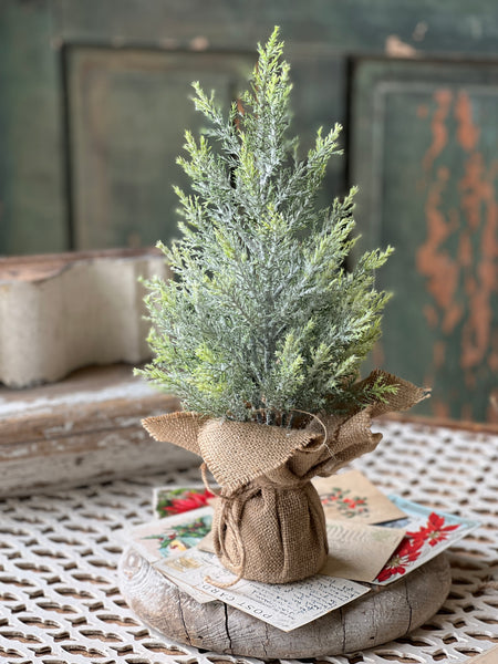 Fine Pine Tree | 15" | SOLD OUT