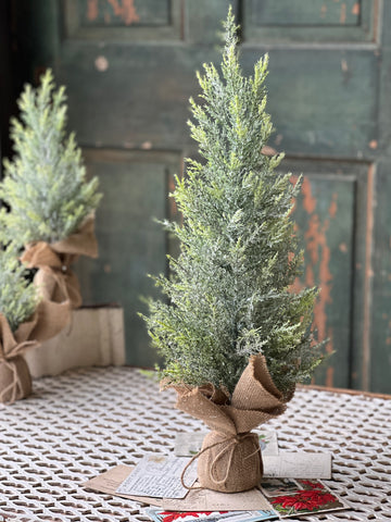 Fine Pine Tree | 23" | SOLD OUT