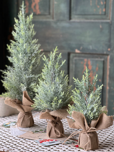 Fine Pine Tree | 12" | SOLD OUT