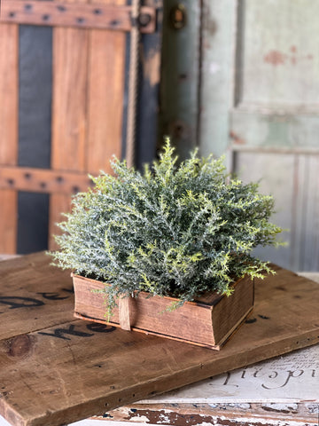 Glitzen Pine Half Sphere | 12"