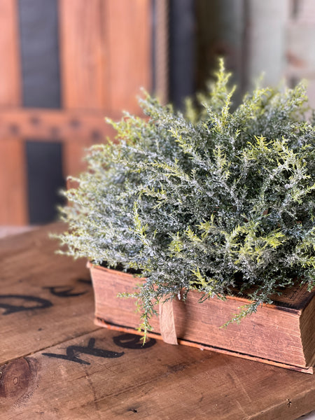 Glitzen Pine Half Sphere | 12"