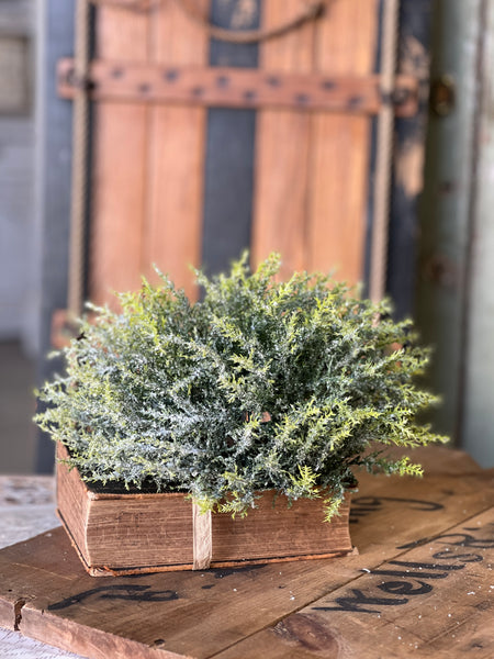 Glitzen Pine Half Sphere | 12"