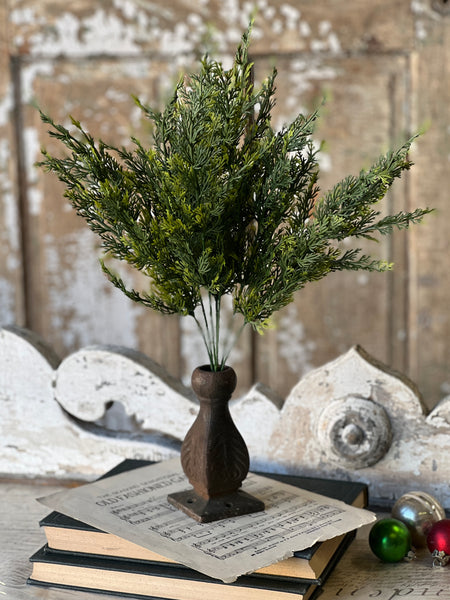 Clifton Hills Cedar Bush | 20" | Limited Stock - Last 108pcs!