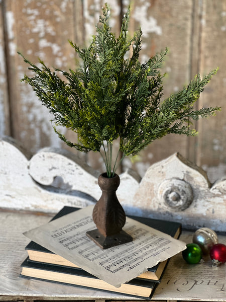 Clifton Hills Cedar Bush | 20" | Limited Stock - Last 108pcs!