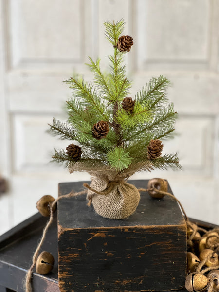 Greenup Pine Tree w/ Cones | 12" | SOLD OUT