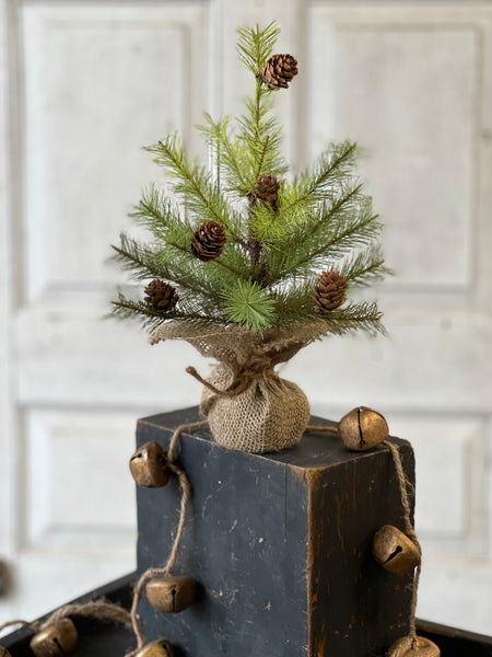 Greenup Pine Tree w/ Cones | 12" | SOLD OUT