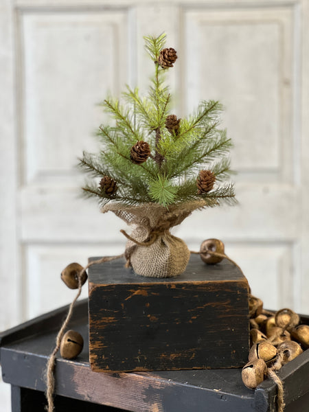 Greenup Pine Tree w/ Cones | 12" | SOLD OUT