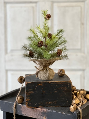 Greenup Pine Tree w/ Cones | 12" | SOLD OUT