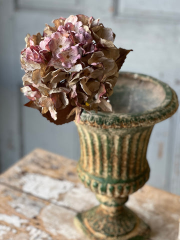 Empire Hydrangea | 25" | Love