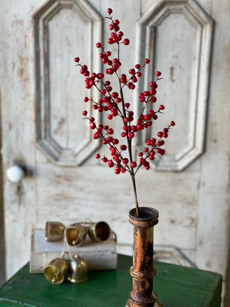 Ruby Rushberry Spray | 29"