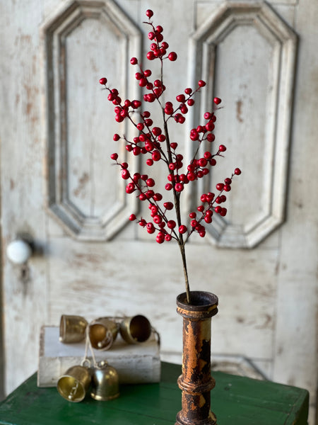 Ruby Rushberry Spray | 29"