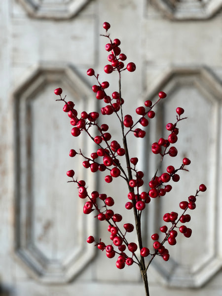 Ruby Rushberry Spray | 29"