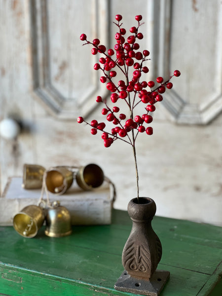 Ruby Rushberry Spray | 18" | SOLD OUT