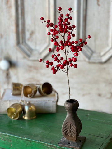 Ruby Rushberry Spray | 18" | SOLD OUT