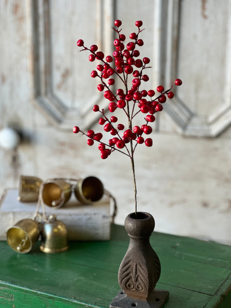 Ruby Rushberry Spray | 18" | SOLD OUT