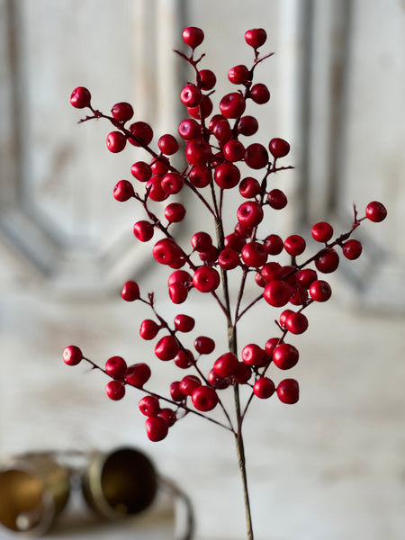 Ruby Rushberry Spray | 18" | SOLD OUT