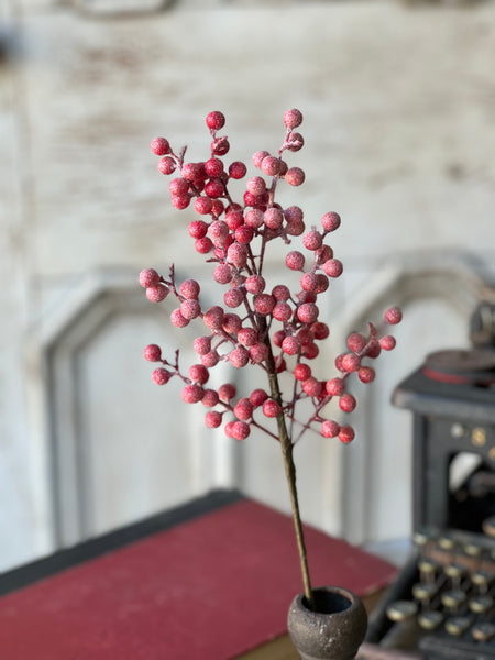 Frosted Fizzy Berry Spray | 18"