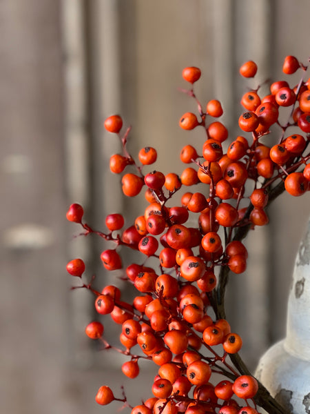 Emberfruit Candle Ring | 9" | SOLD OUT