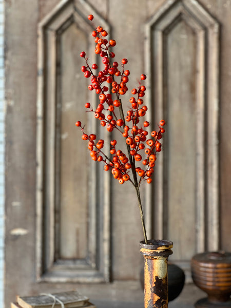 Emberfruit Spray | 29" | SOLD OUT