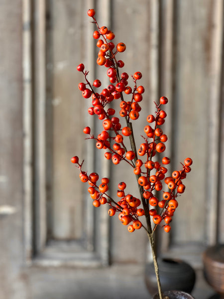 Emberfruit Spray | 29" | SOLD OUT