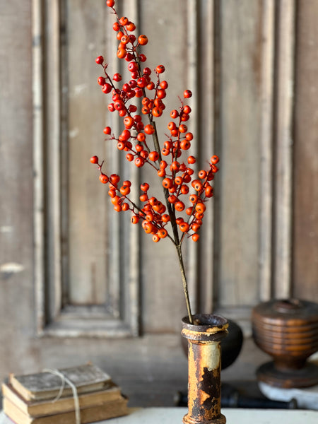 Emberfruit Spray | 29" | SOLD OUT