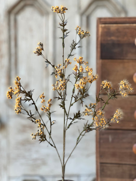 Boucle Berry Spray | 28" | Cider