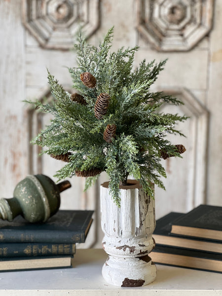 Luminous Cedar Bush | 21" | SOLD OUT