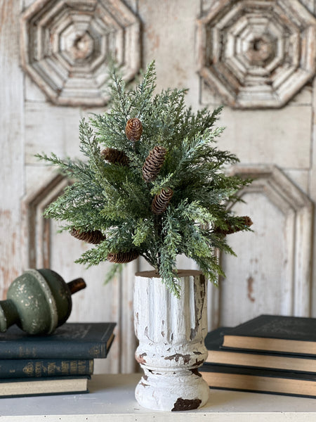 Luminous Cedar Bush | 21" | SOLD OUT