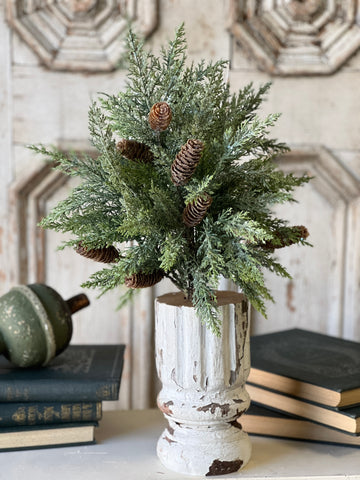 Luminous Cedar Bush | 21" | SOLD OUT