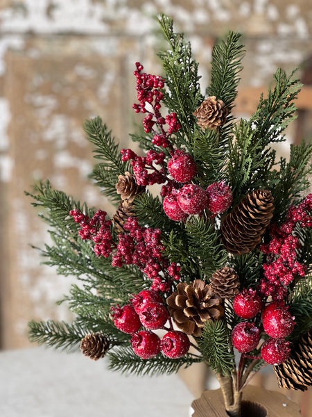 Bluster Berry Greens Bush | 26"