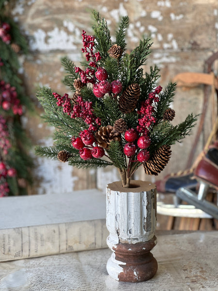 Bluster Berry Greens Bush | 26"