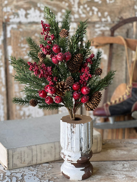 Bluster Berry Greens Bush | 26"