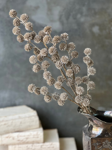 Solstice Spray | 29" | Champagne | SOLD OUT