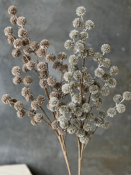 Solstice Spray | 29" | Champagne | SOLD OUT