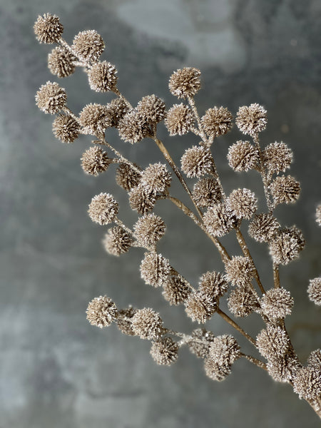 Solstice Spray | 29" | Champagne | SOLD OUT