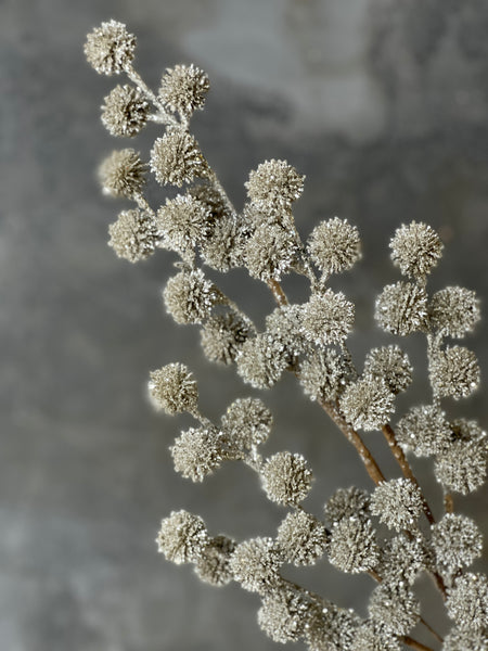 Solstice Spray | 29" | Platinum | SOLD OUT