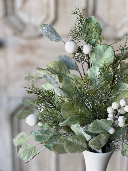 Splash of Splendor Bush | 21" | SOLD OUT