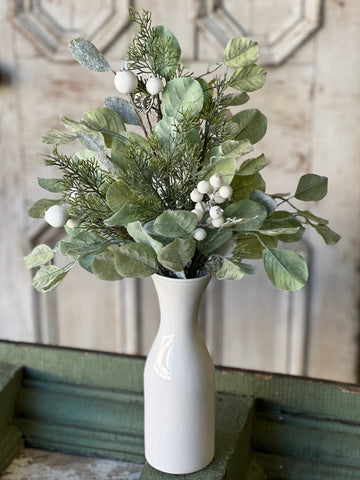 Splash of Splendor Bush | 21" | SOLD OUT