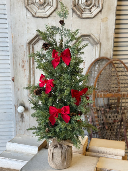 Bow Tied Boughs Bows | Box of 12 | NOT CURRENTLY IN STOCK-New For Holiday 2026!