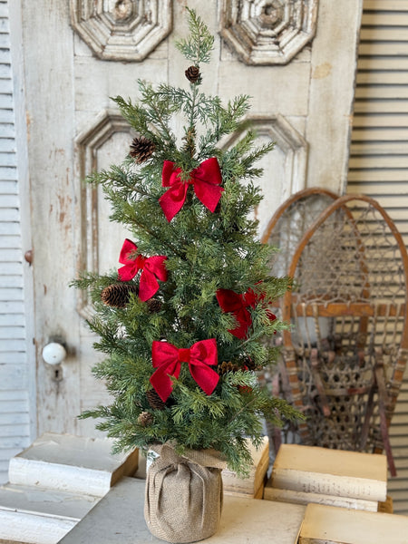 Bow Tied Boughs Bows | Box of 12 | NOT CURRENTLY IN STOCK-New For Holiday 2026!