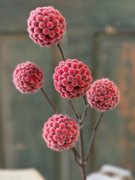 Iced Brilliant Berry Orb Spray | 23" | NOT CURRENTLY IN STOCK-New For Holiday 2026!