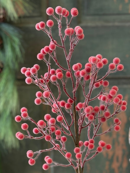 Iced Brilliant Berry Spray | 25" | NOT CURRENTLY IN STOCK-New For Holiday 2026!
