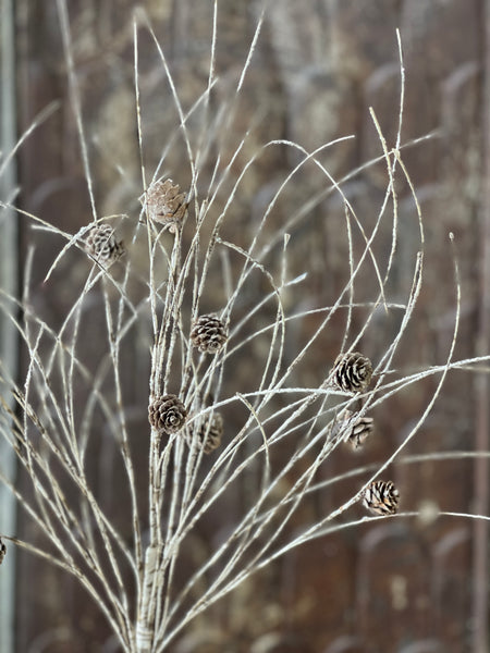 Snowy Birch Twig Spray | White | 34"