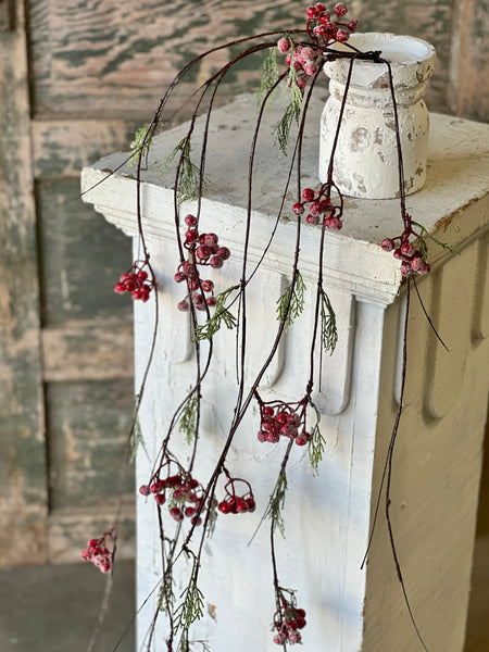Icy Berry & Cedar Vine | Red | 4' | SOLD OUT