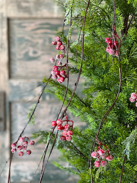 Icy Berry & Cedar Vine | Red | 4' | SOLD OUT